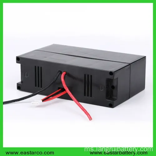 Bateri Lithium 24V 10AH Lithium Ion Battery Pack untuk Sea E-Scooter